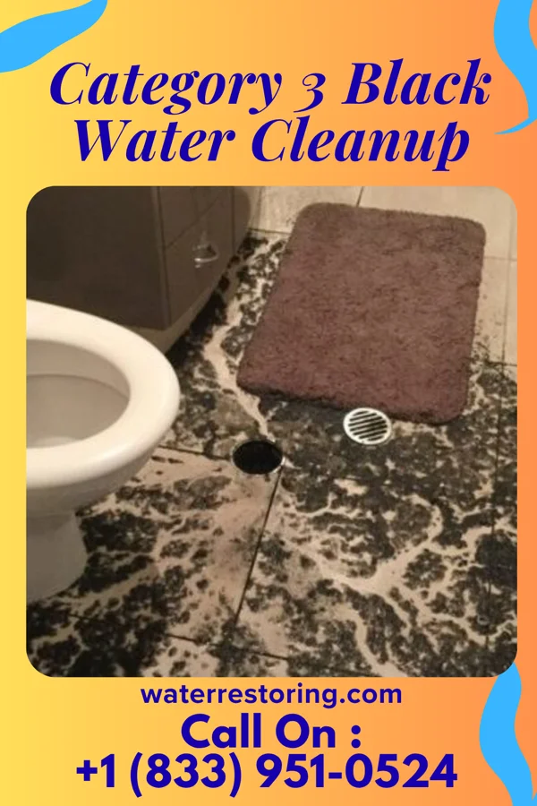 Category 3 Black Water Cleanup in Dayton, OH
