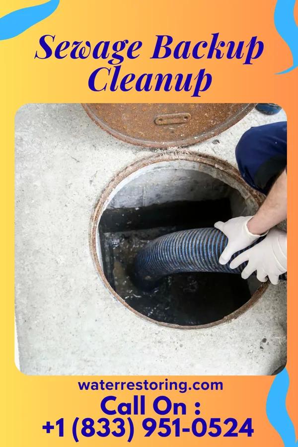 Sewage Backup Cleanup in Dayton, OH
